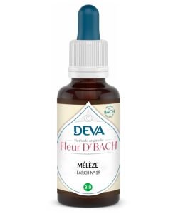 Mélèze (Larch - N°19) BIO, 30 ml